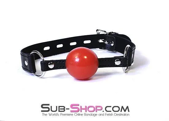 0534LT      Easy Does It Small Red Locking Ballgag - MEGA Deal