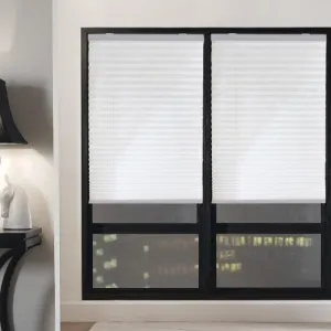 Simplistic Cordless Pleated Shades and Blinds